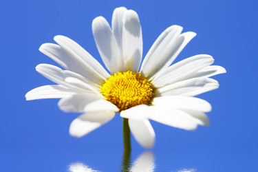 Similar image 213013