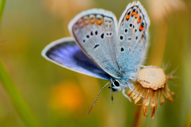 Similar image 213025