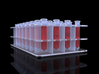 Similar image 213027