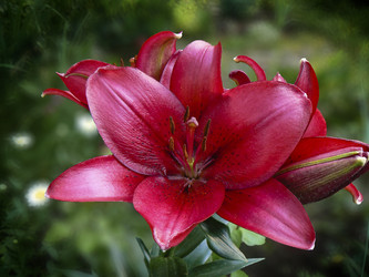 Similar image 213065