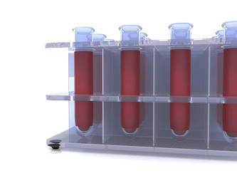 Similar image 213069