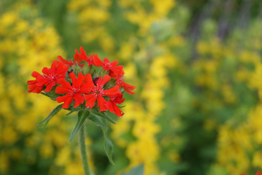 Similar image 213075