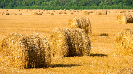 Similar image 213078