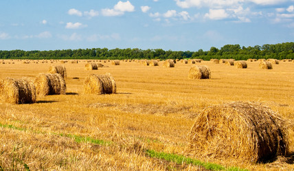 Similar image 213079