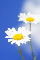 Similar image 213081