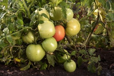 Similar image 213113