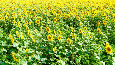 Similar image 213114