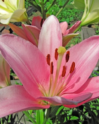 Similar image 213130