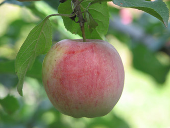 Similar image 213134