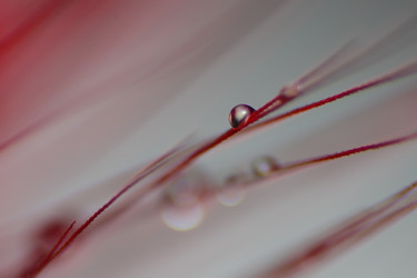 Similar image 213140