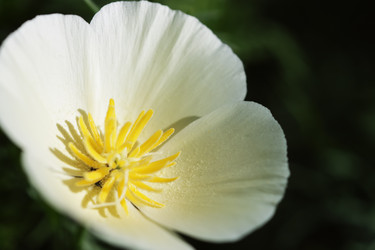 Similar image 213154