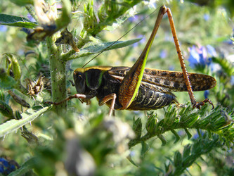 Similar image 213157