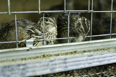 Similar image 213159