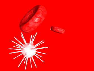 Similar image 213172