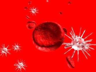 Similar image 213173