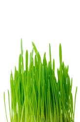 Similar image 213181