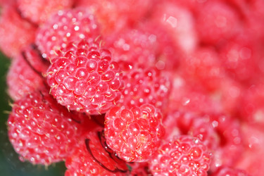 Similar image 213202