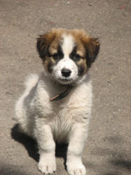 Similar image 213214