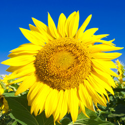 Similar image 213216