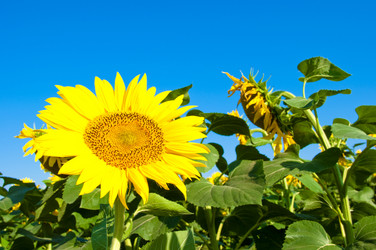 Similar image 213217