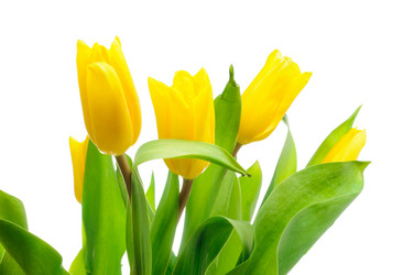 Similar image 213225