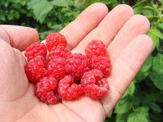 Similar image 213235