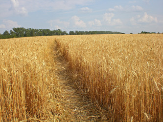 Similar image 213268