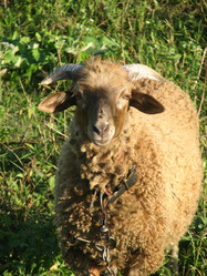 Similar image 213286