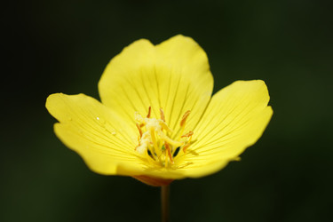 Similar image 213297