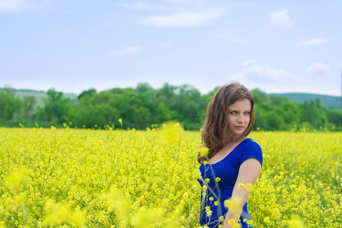 Similar image 213301