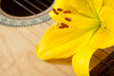 Similar image 213327