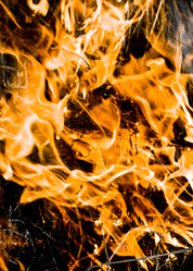 Similar image 213346