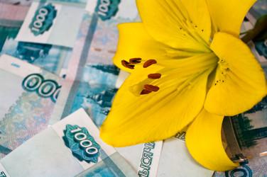 Similar image 213349