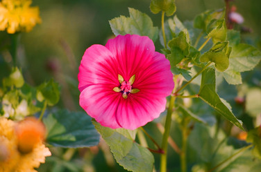 Similar image 213350