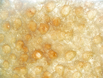 Similar image 213351