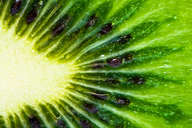 Similar image 213369