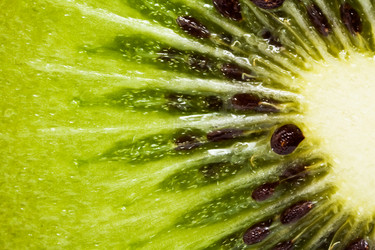 Similar image 213370