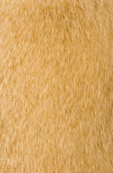 Similar image 213388