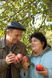 Similar image 213485