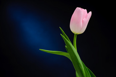 Similar image 213498