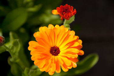 Similar image 213538