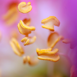 Similar image 213540