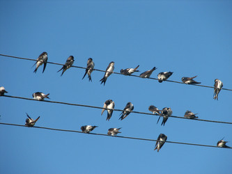 Similar image 213599