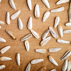 Similar image 213636