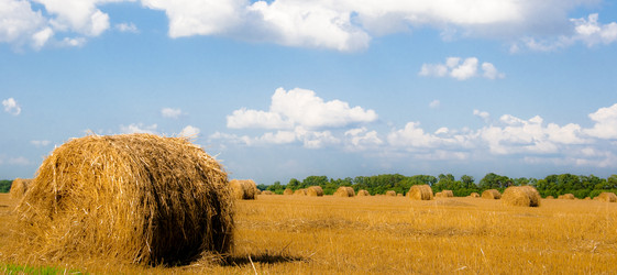 Similar image 213708