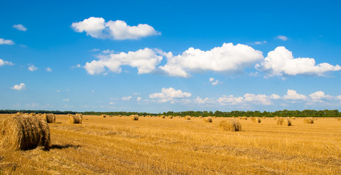 Similar image 213709