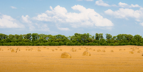 Similar image 213711