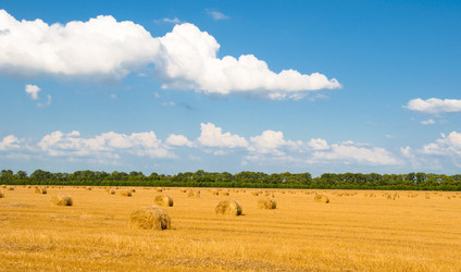 Similar image 213713