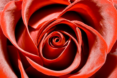 Similar image 213793