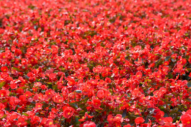 Similar image 213806